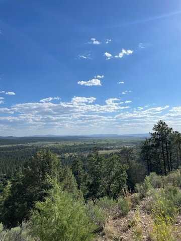 Ticonderoga, Chama, NM 87520