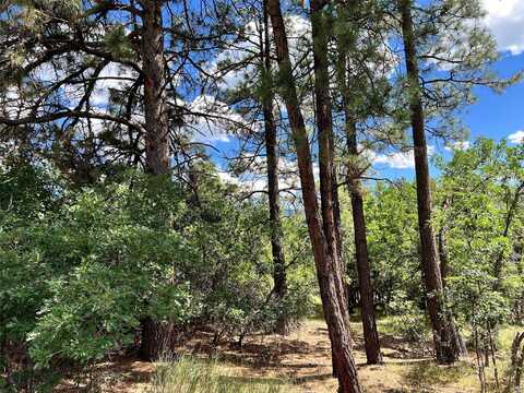 0 Block 2, Lot 15, Brazos Estates, Chama, NM 87520