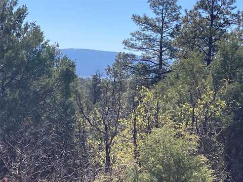 Rim Drive Lots 72 & 73, Rutheron, NM 87551