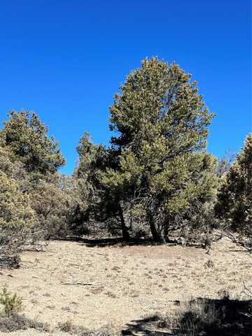 Willow Creek, Los Ojos, NM 87551