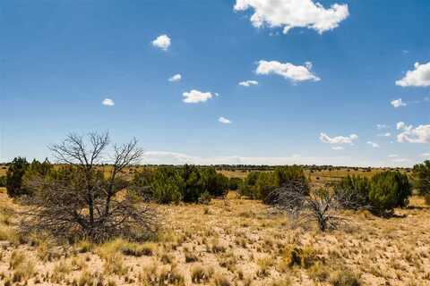 200 Thornton, Lamy, NM 87540