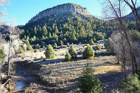 CR 352, Chama, NM 87528