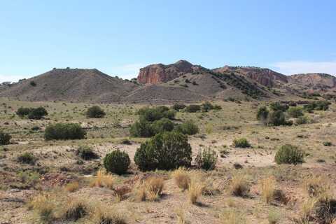 14 Blackfoot Trail, Abiquiu, NM 87510