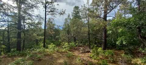 0 1781, Chama, NM 87520