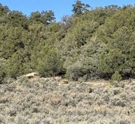 Talavera Unit 4 Lot 40, Tierra Amarilla, NM 87575