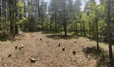 Block 3 Lot 17 Brazos Meadows, Chama, NM 87520