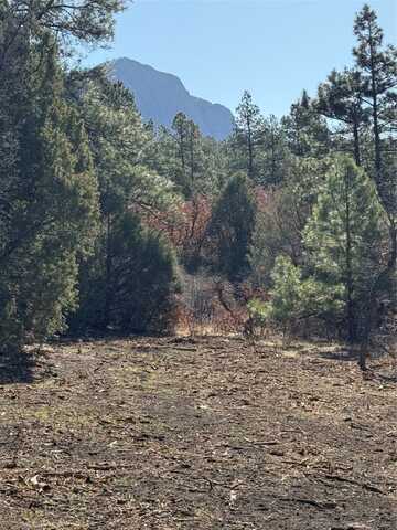 67 PD 1755, Chama, NM 87520
