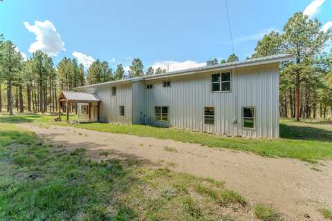 41 Susan Lane, Angel Fire, NM 87710