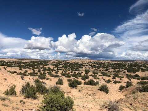 Private Drive 1614A lot: 47, Medanales, NM 87548