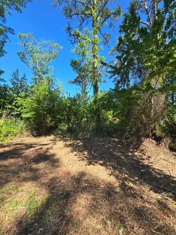 3 RIDGE RD, CHINCOTEAGUE, VA 23336