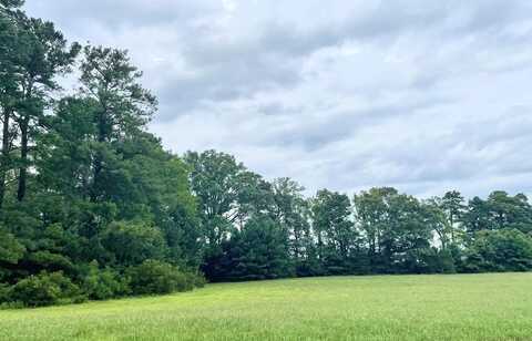 Lot 3 EAGLE DRIVE, NEW CHURCH, VA 23415