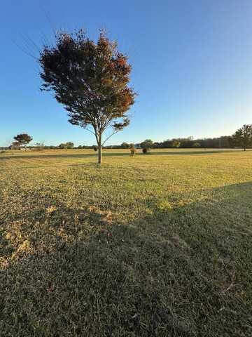 lot 44 BLUE CRAB CIRCLE, PAINTER, VA 23420