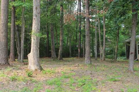 2052 NEPTUNE CT, GREENBACKVILLE, VA 23356