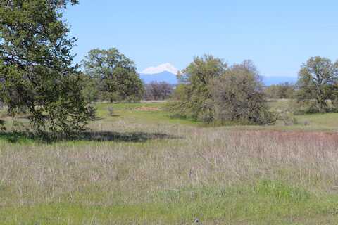 Lot 22 Bay Meadows Lane, Cottonwood, CA 96022