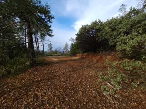 Powell Ridge Rd, Oroville, CA 95966