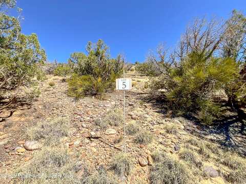 5515 VISTA GRANDE Drive, Farmington, NM 87401