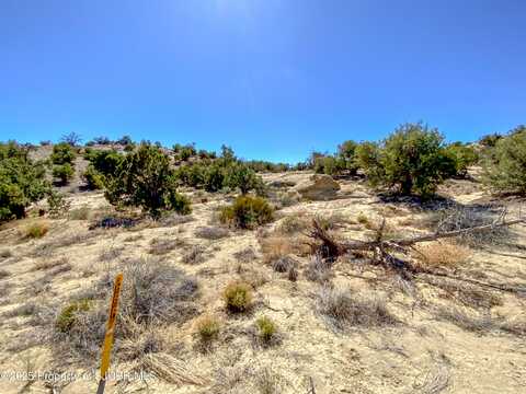 5525 HOOD MESA Trail, Farmington, NM 87401