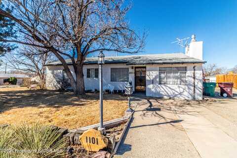 1101 N LINCOLN Avenue, Farmington, NM 87401