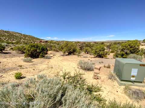 5801 VISTA GRANDE Drive, Farmington, NM 87401