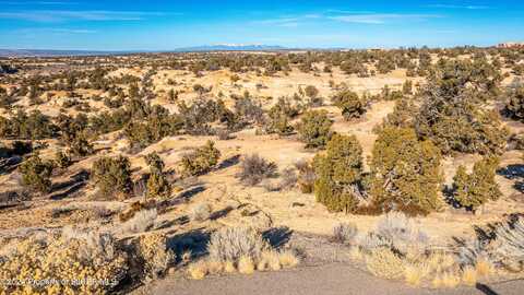 5836 VISTA GRANDE Drive, Farmington, NM 87401