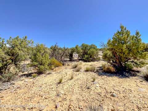 1530 VISTA HERMOSA Trail, Farmington, NM 87401