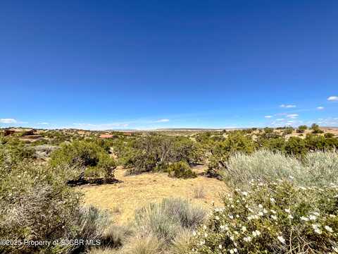 1630 VISTA HERMOSA Trail, Farmington, NM 87401