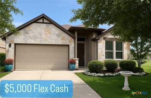 1204 Clearwing Circle, Georgetown, TX 78626
