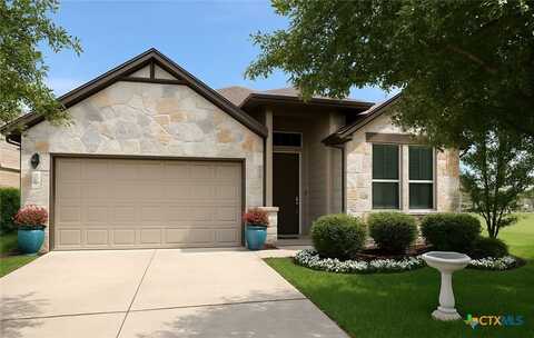 1204 Clearwing Circle, Georgetown, TX 78626