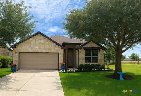 1204 Clearwing Circle, Georgetown, TX 78626
