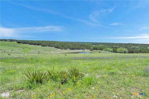 Lot 4 CR 207, Burnet, TX 78611