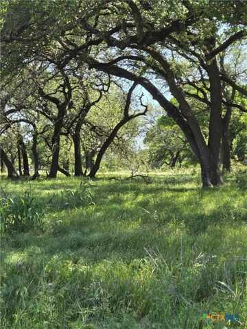 254 Guadalupe Dr., Oglesby, TX 76561