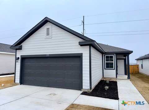 213 Alcatraz, Jarrell, TX 76537