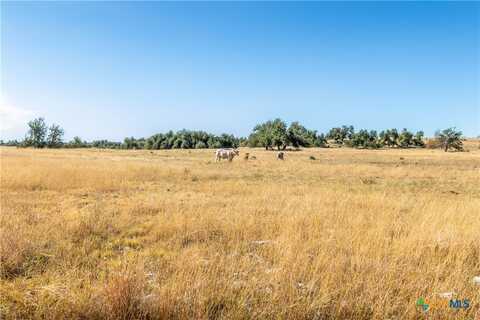 315 Junker Hill Drive, Fredericksburg, TX 78631