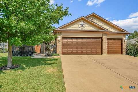 707 Hedgewood Drive, Georgetown, TX 78628