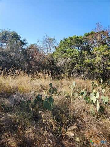 Tbd Stellar Drive, Burnet, TX 78611