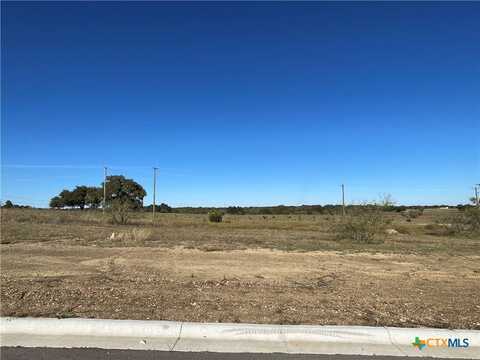 1631 Hunt Drive, Salado, TX 76571