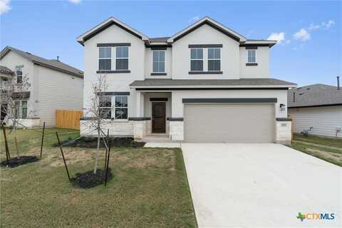 221 Comet Pointe Drive, Georgetown, TX 78628