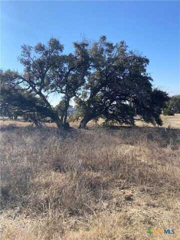 713 Fossil Springs Drive, Bulverde, TX 78163