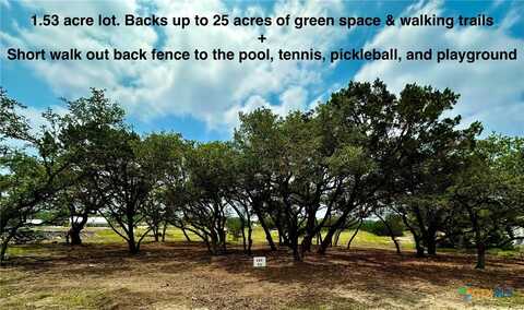 34741 Carries Crk, Bulverde, TX 78163