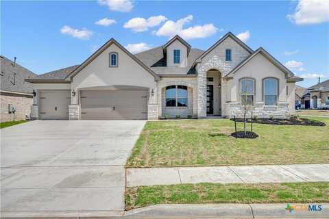 209 Filmore Falls, Cibolo, TX 78108