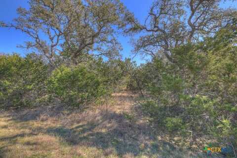 578 Falconwood Drive, San Marcos, TX 78666