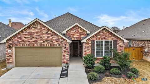 569 Rosemellow Street, New Braunfels, TX 78132