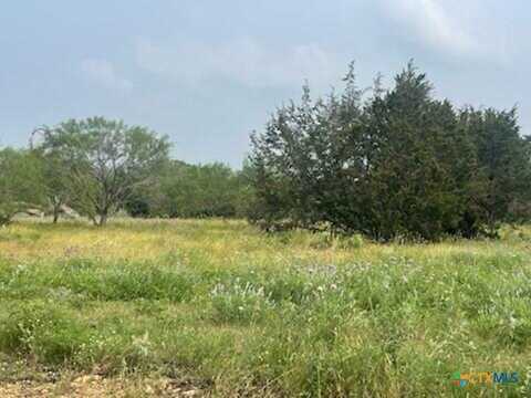 #175 Cross Timber Ranch, Lampasas, TX 76550