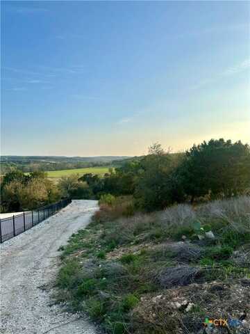130 Double Tree Lane, Canyon Lake, TX 78133