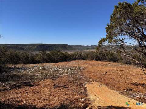 195 Summit Circle, New Braunfels, TX 78132