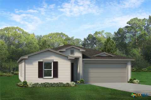 1308 Richards Ranch Road, Belton, TX 76513