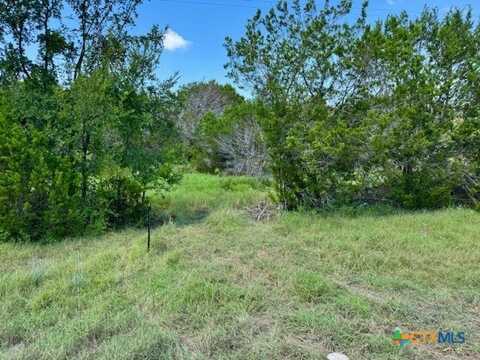 Tbd Fm 2484, Florence, TX 76527