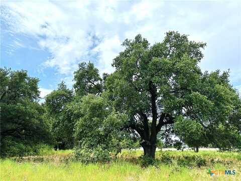 Deer Haven Tract 2 County Road 265, Gatesville, TX 76528