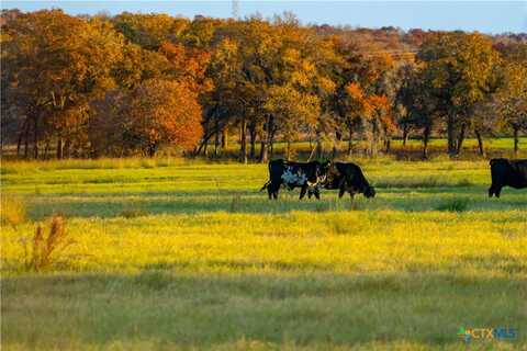 Tbd Tx-123, Seguin, TX 78155