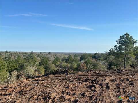 Tbd Sandy Fork Road, Harwood, TX 78632